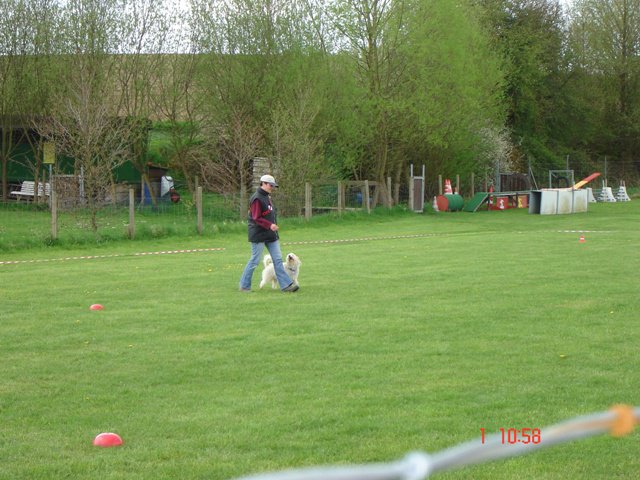 20080502_1129916059_bennyfuss
