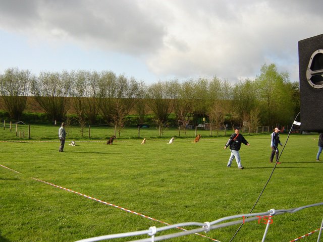 20080502_1307543169_klasse1ablage