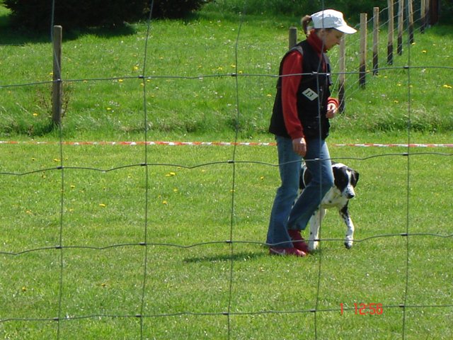 20080502_1508541881_fussarbeit