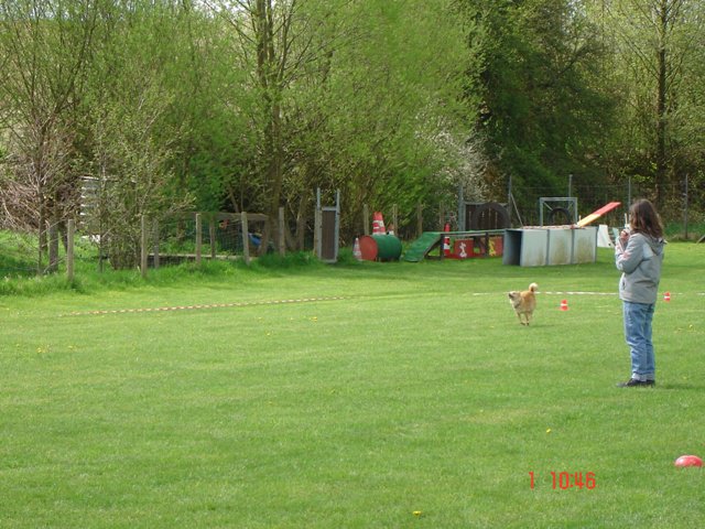 20080502_1974954195_bonnyflitzt