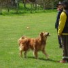 20080502_2005433427_elsaapport