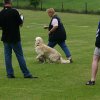 20080613_1579509200_doris02
