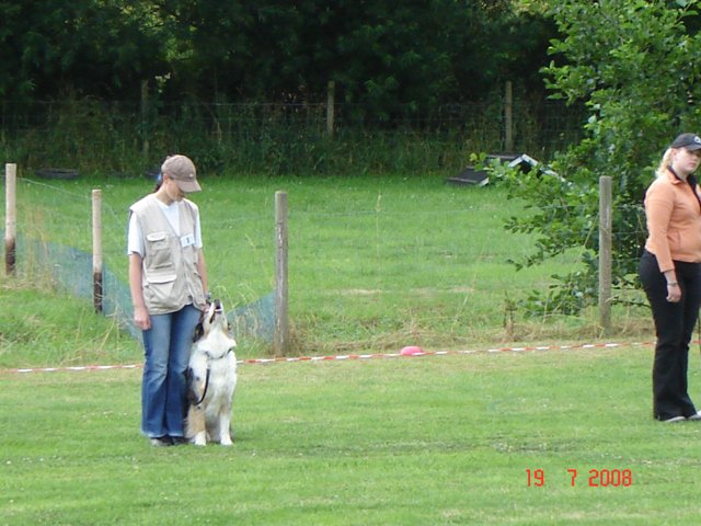 20080720_1964671597_hundeplatzklein