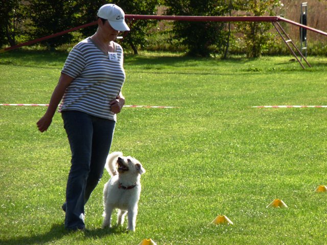 20090926_1549016987_112