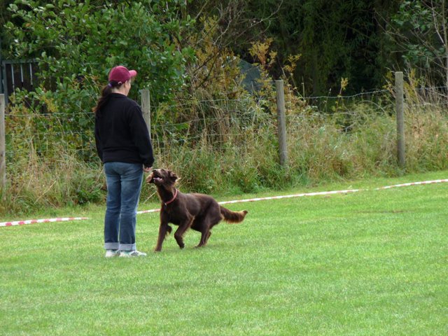 20090926_1707807896_107