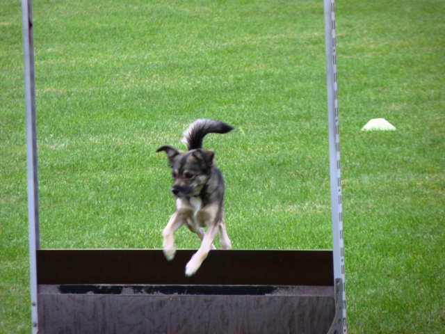 20090926_2034728358_086