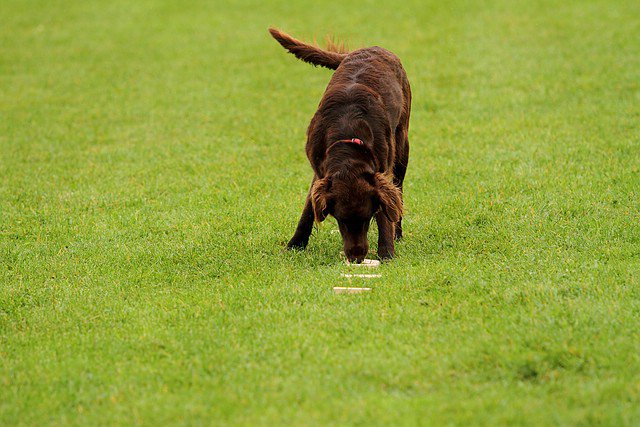 20121024_1207145365_comp_img_0558
