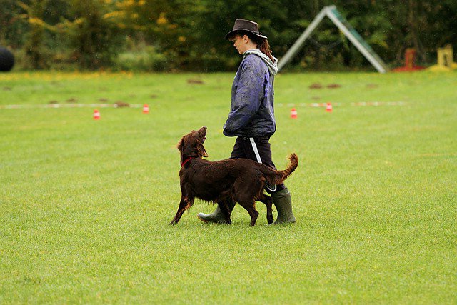 20121024_1862147877_comp_img_0471