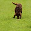20121024_1207145365_comp_img_0558