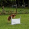 20121024_1439933673_comp_img_0667