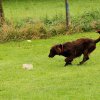 20121024_1755549912_comp_img_0533