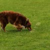 20121024_1865923995_comp_img_0662