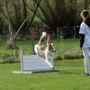 20130520_1805065280_k-comp_2img_5308