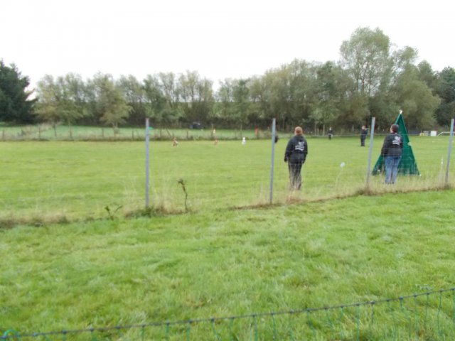 20131021_1075699334_k-hundeplatz_050