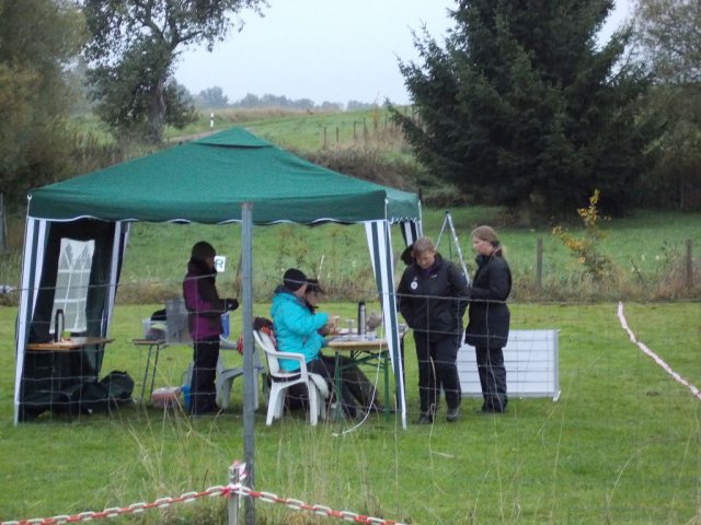 20131021_1240484544_k-hundeplatz_037