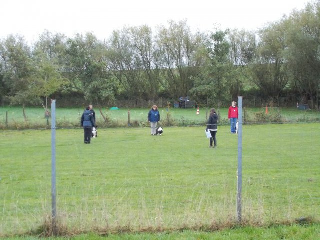 20131021_2032605905_k-hundeplatz_043
