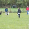 20131021_1276833630_k-hundeplatz_044
