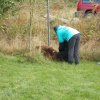 20131021_1448203484_k-hundeplatz_063