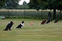 20090702_1090533928_obi-lm09-639