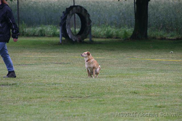 20090702_1366842652_obi-lm09-277