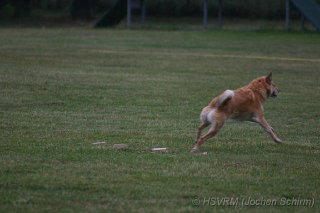 20090702_1374258810_obi-lm09-287