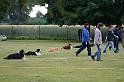 20090702_1395897090_obi-lm09-643