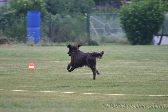 20090702_1689821009_obi-lm09-080