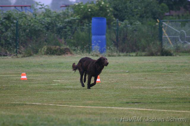 20090702_1741876581_obi-lm09-077