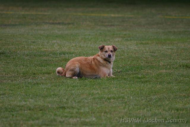 20090702_1922090863_obi-lm09-280