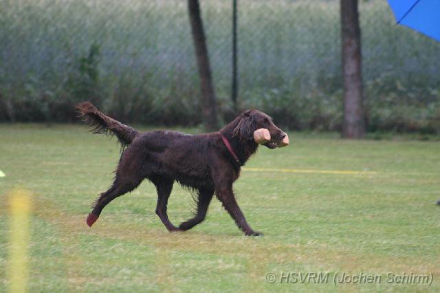 20090702_2083542608_obi-lm09-083