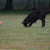 20090702_1360189637_obi-lm09-082