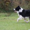 20151024_1291851712_k-img_5852