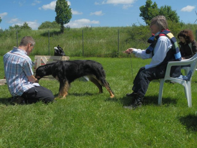 20120824_1243180330_bild8