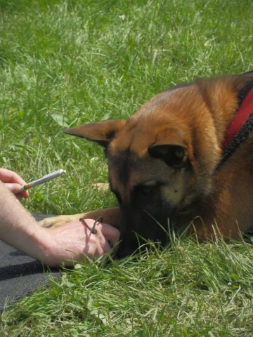 20120824_1917796398_bild13