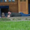 20120824_1271768490_bild16