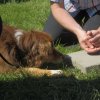 20120824_1880183197_bild17