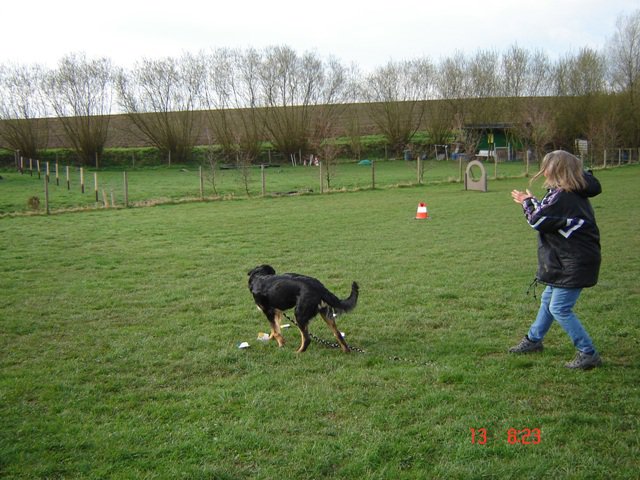 20080414_1316920458_hexe_gut_gemacht