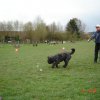 20080414_1744212396_gleich_klickts