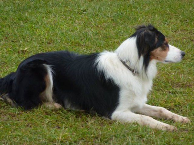 20110116_1482635112_cooper3