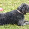 20110116_1184665780_lotta3