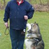 20110116_2063917197_klaus-amak