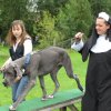 20080324_1681949546_jux-turnier2_bearbeitet