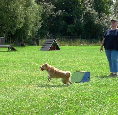 20090713_1166334265_sommerfest_2009_471