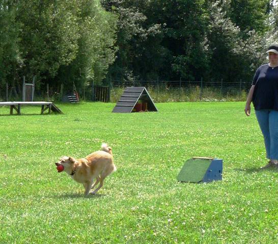 20090713_1509217273_sommerfest_2009_473
