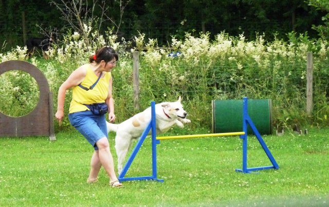 20090713_1570426173_sommerfest_2009_250