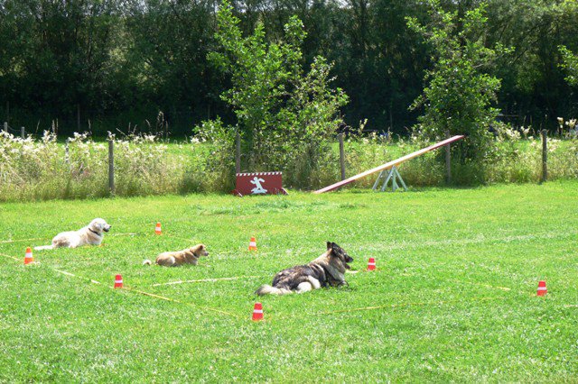 20090713_1698049759_sommerfest_2009_379