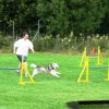 20090713_1236814158_sommerfest_2009_201