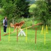 20090713_1257608544_sommerfest_2009_097