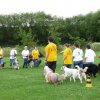 20090713_1308419592_sommerfest_2009_034