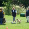 20090713_1695455589_sommerfest_2009_389